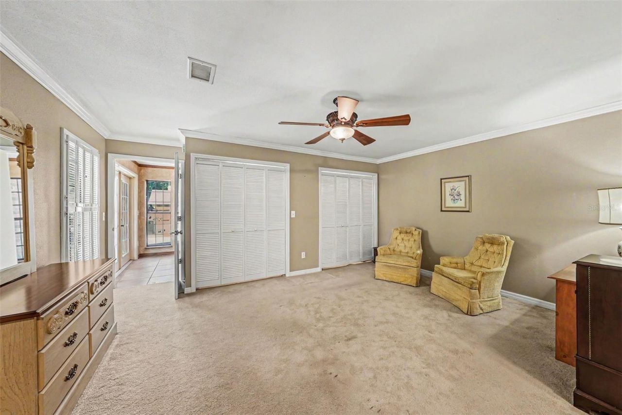 6612 Peachtree Drive, Tampa, FL 33617 Photo