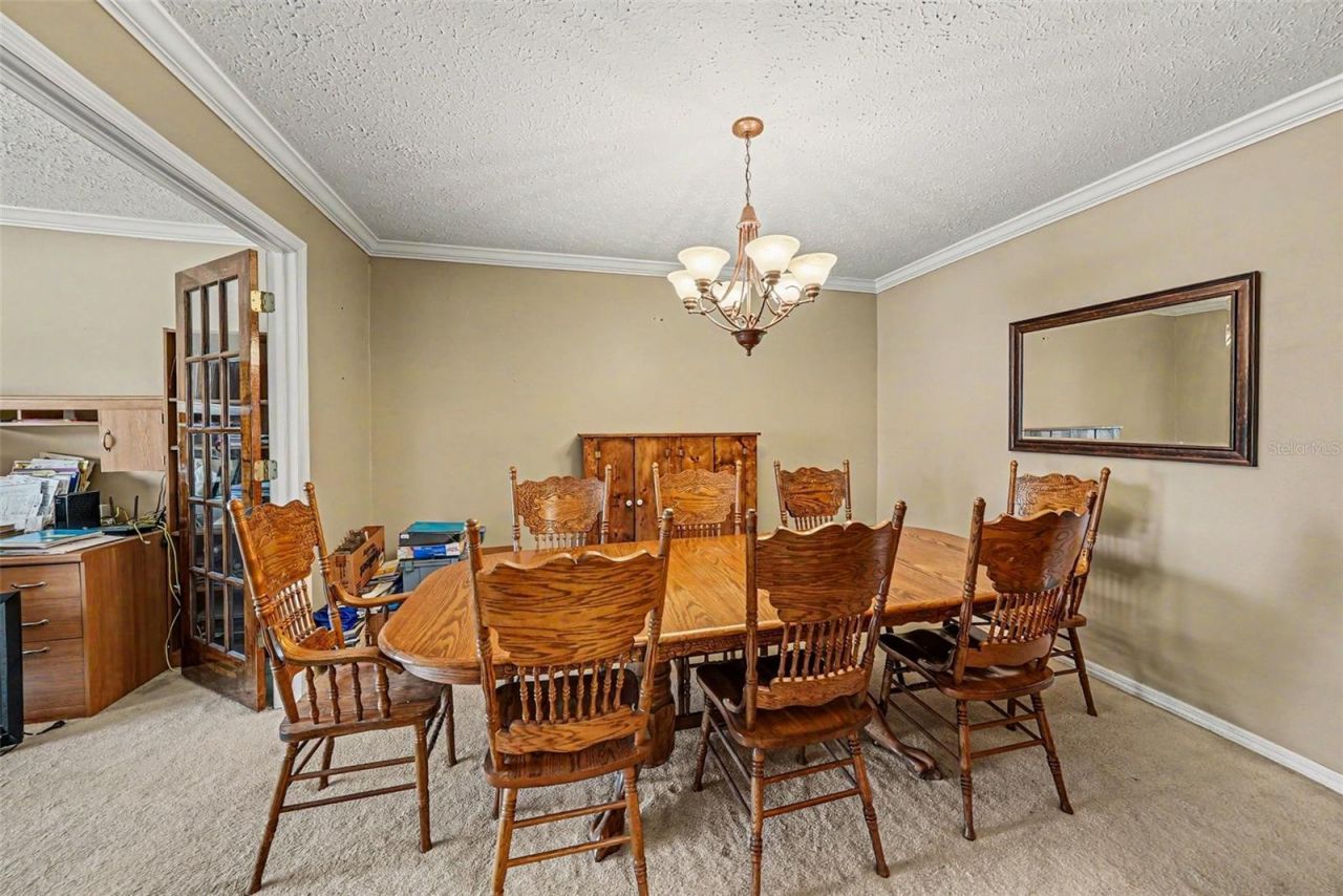 6612 Peachtree Drive, Tampa, FL 33617 Photo