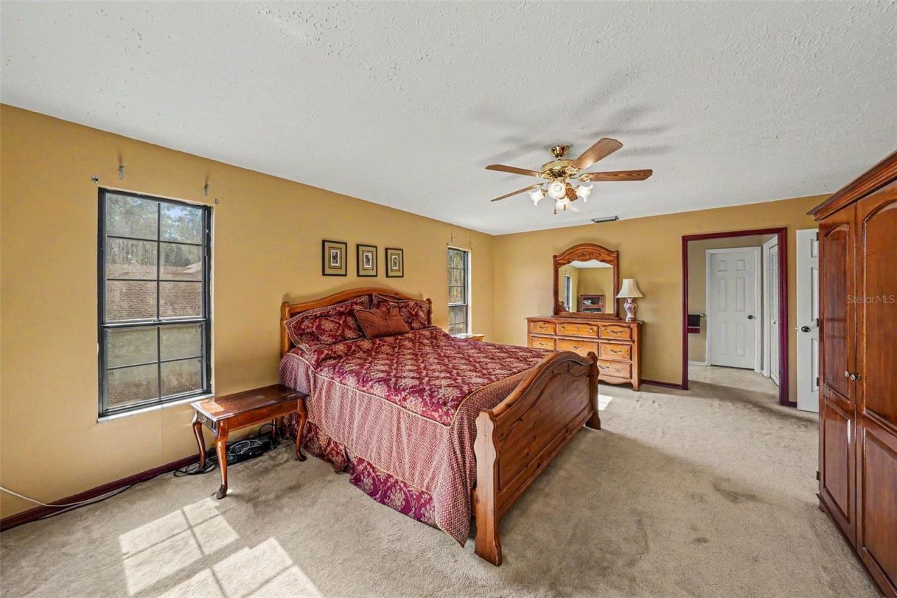 6612 Peachtree Drive, Tampa, FL 33617 Photo
