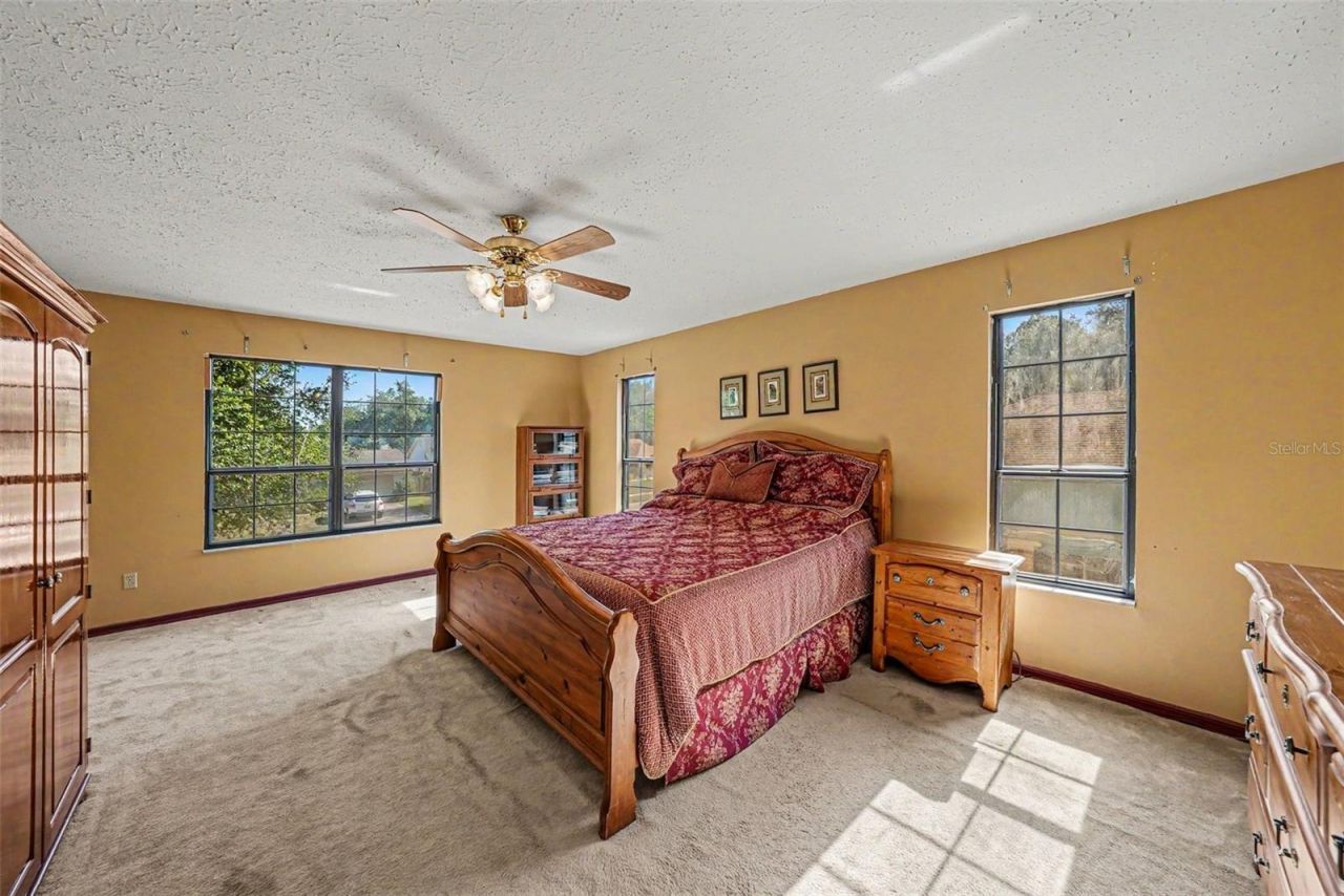 6612 Peachtree Drive, Tampa, FL 33617 Photo