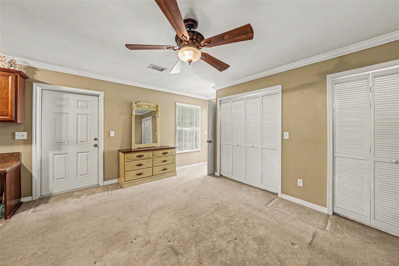 6612 Peachtree Drive, Tampa, FL 33617 Photo