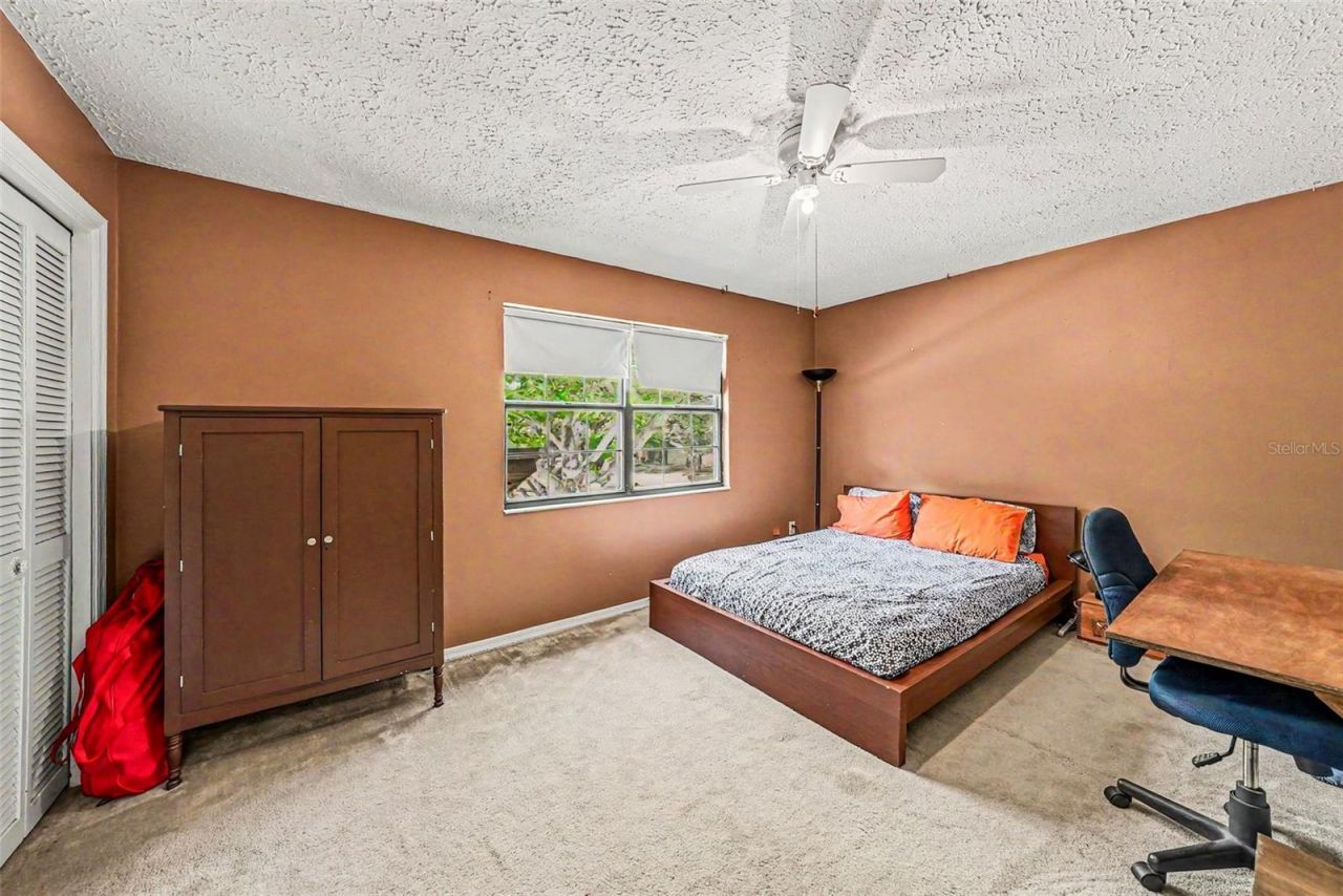 6612 Peachtree Drive, Tampa, FL 33617 Photo