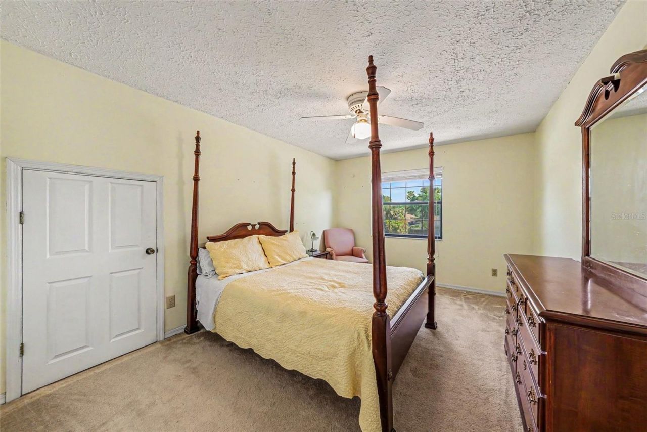 6612 Peachtree Drive, Tampa, FL 33617 Photo