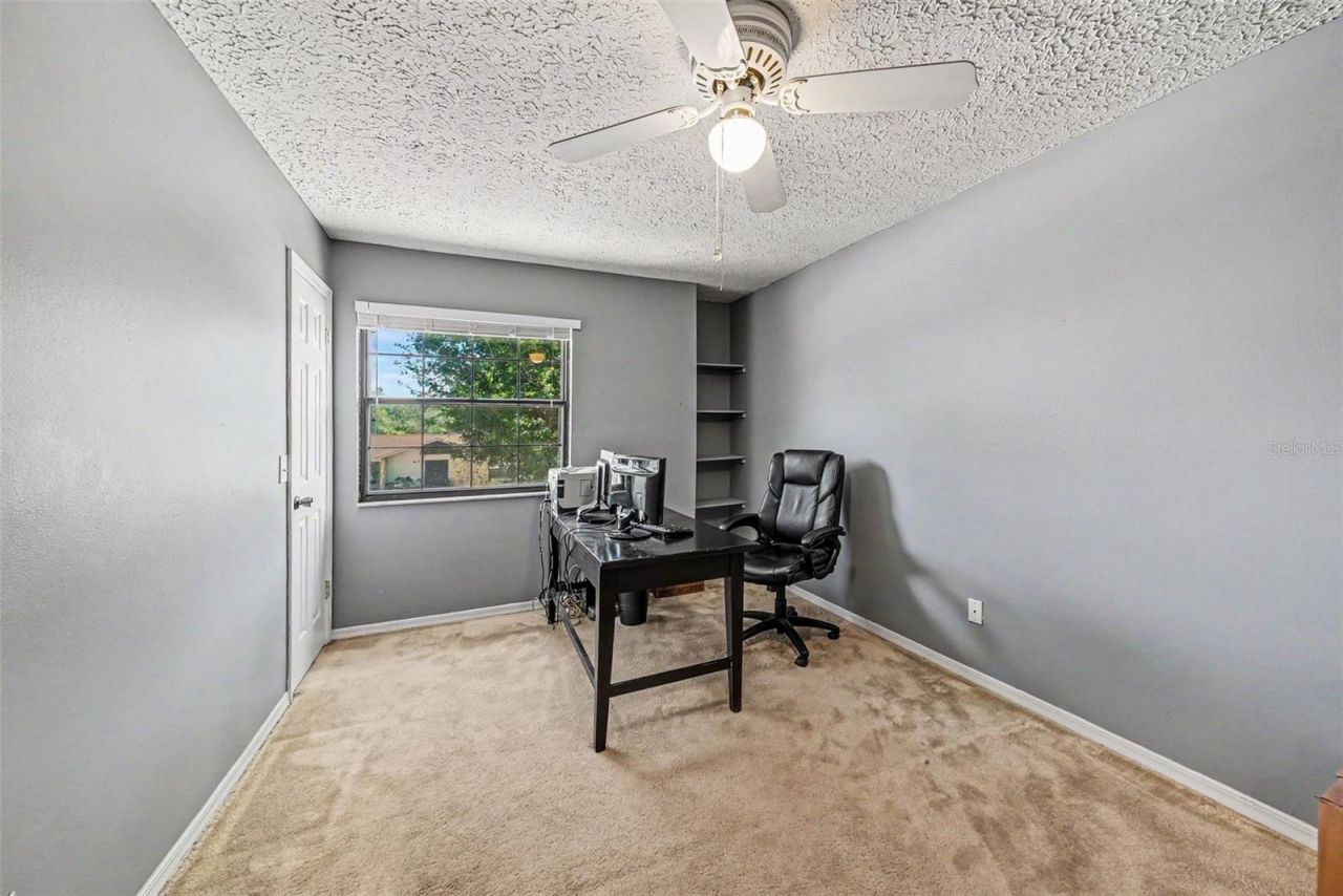 6612 Peachtree Drive, Tampa, FL 33617 Photo