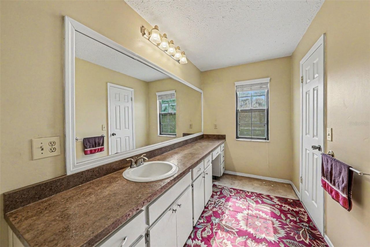 6612 Peachtree Drive, Tampa, FL 33617 Photo