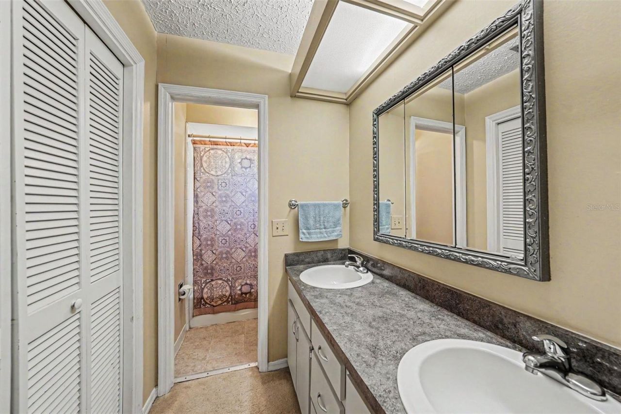 6612 Peachtree Drive, Tampa, FL 33617 Photo