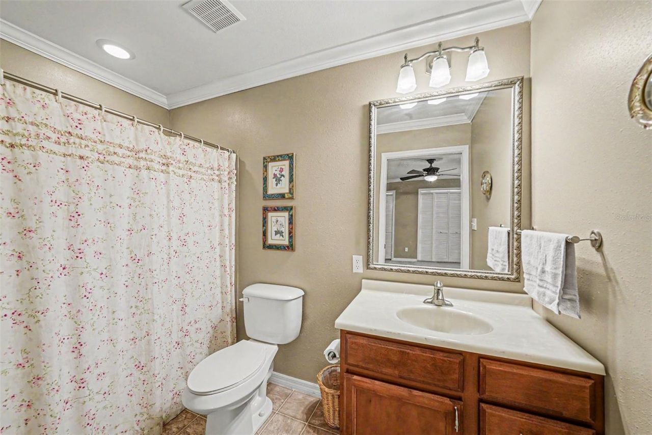 6612 Peachtree Drive, Tampa, FL 33617 Photo