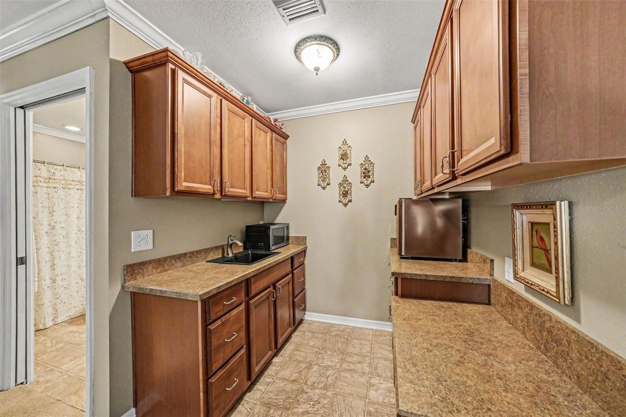 6612 Peachtree Drive, Tampa, FL 33617 Photo