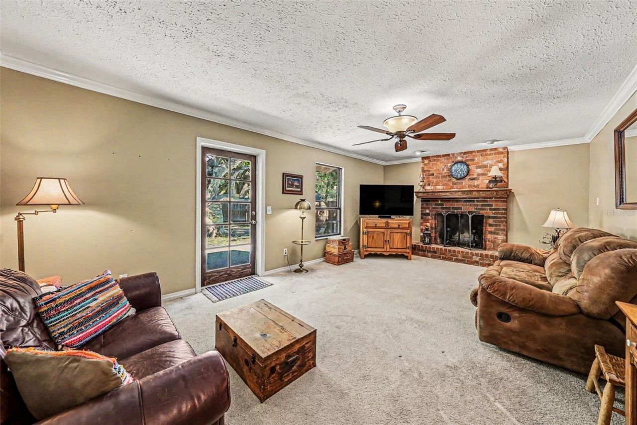 6612 Peachtree Drive, Tampa, FL 33617 Photo
