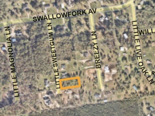 44046 LITTLE SWEETGUM Lane, Callahan, FL 32011