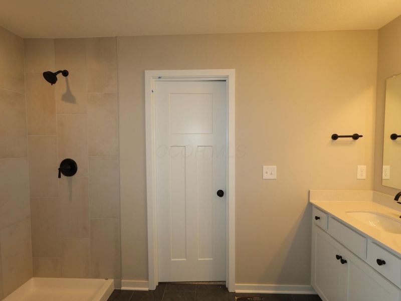 3848 Colts Reign Drive, Powell, OH 43065 Photo 19