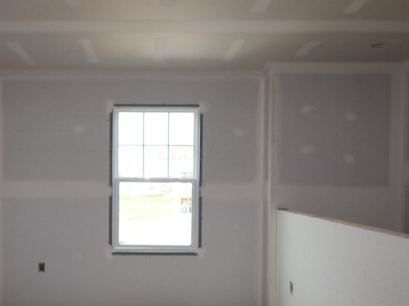3848 Colts Reign Drive, Powell, OH 43065 Photo 4