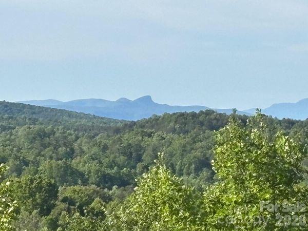 TBD Vein Mountain Road , Nebo, NC 28761