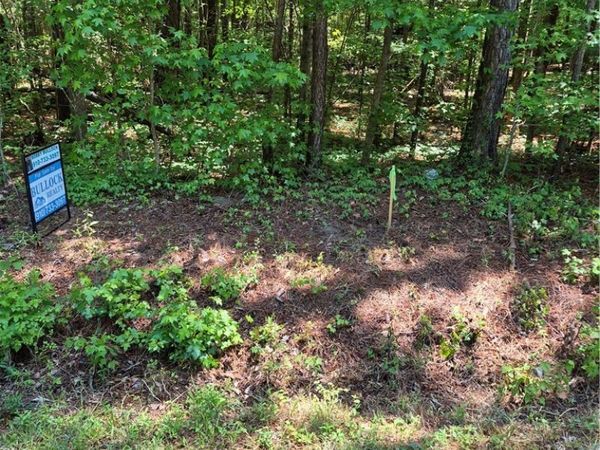 Near 294 Airport Road Road , Bladenboro, NC 28320