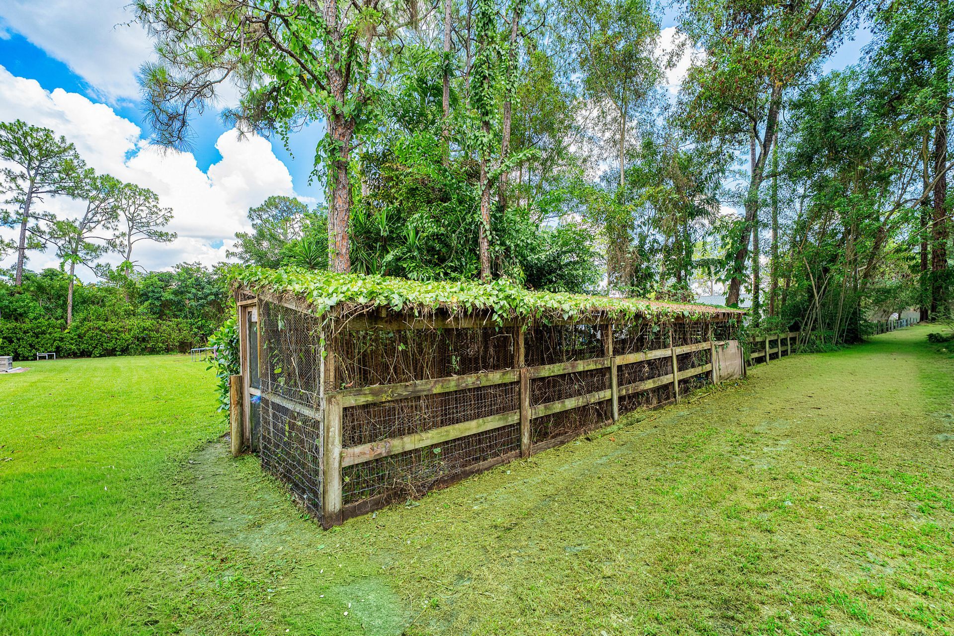 13530 N 59th Ct Court N, The Acreage, FL 33411 Photo