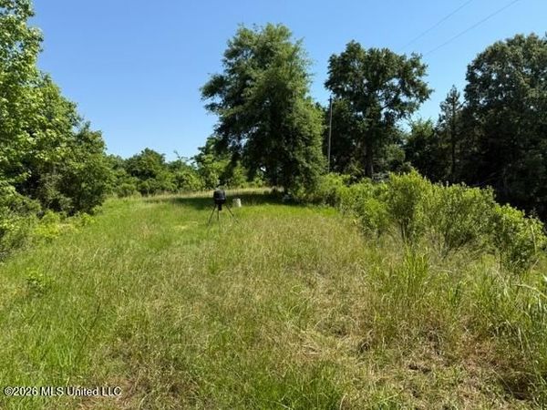 53 Cliffs Plantation Road, Natchez, MS 39120
