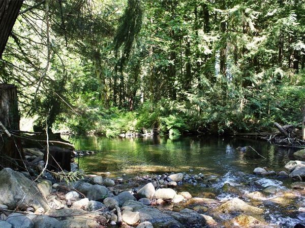 3715 Melrose Rd, Hilliers, BC V9K 1V3