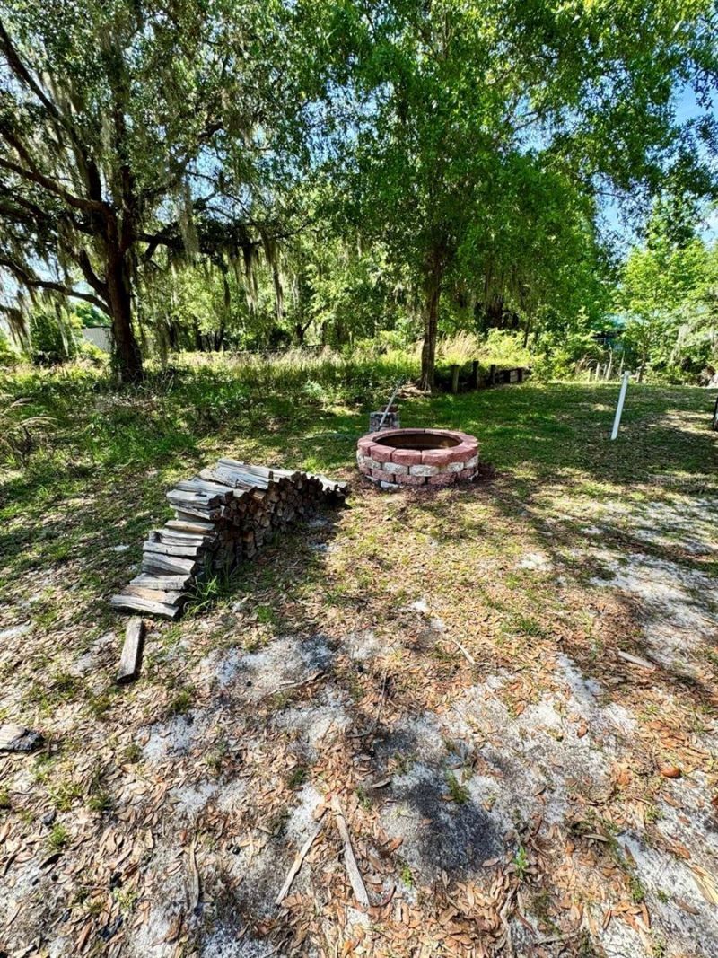 30391 NE 97th Place , Salt Springs, FL 32134 Photo