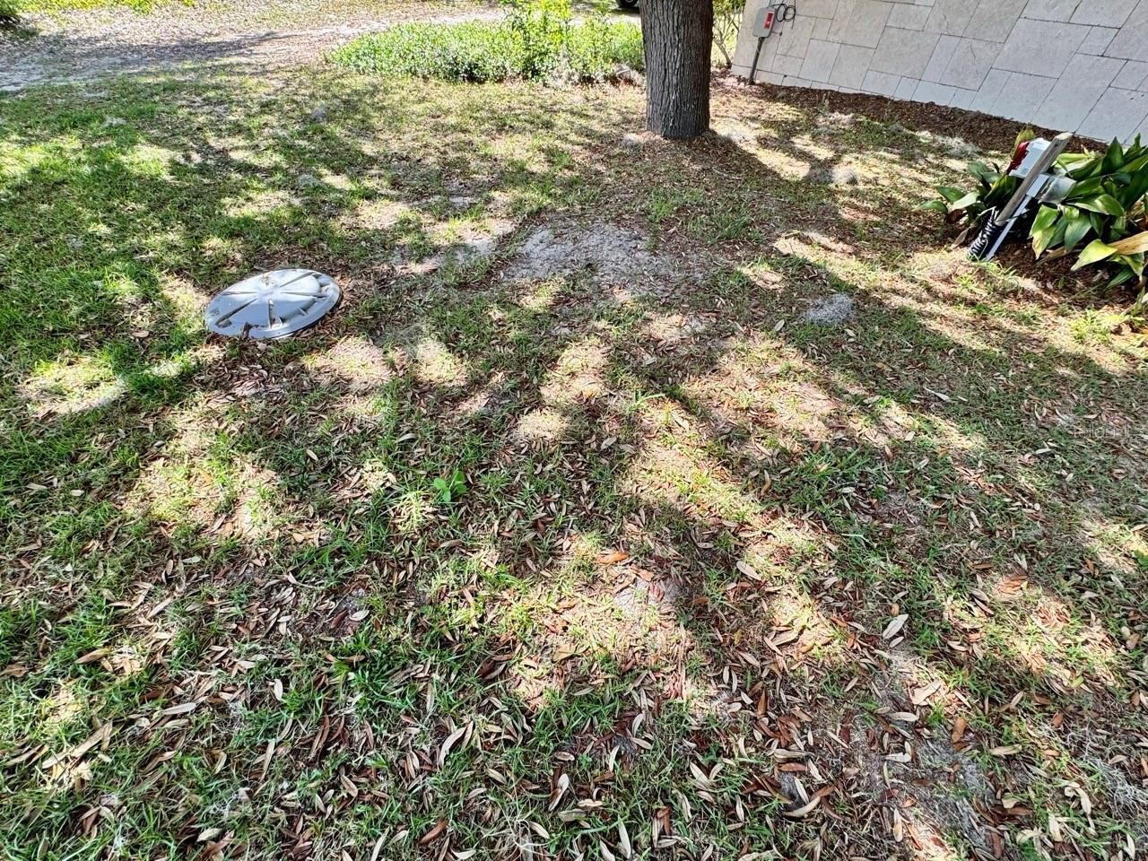 30391 NE 97th Place , Salt Springs, FL 32134 Photo