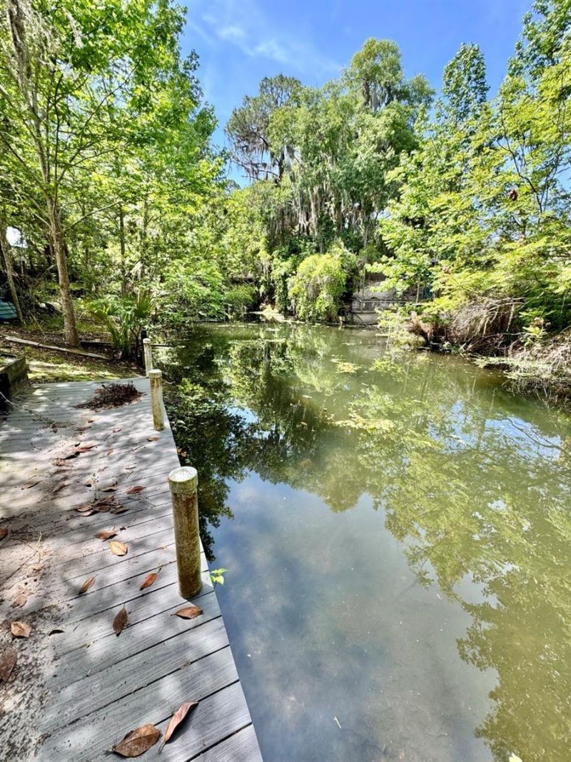 30391 NE 97th Place , Salt Springs, FL 32134 Photo