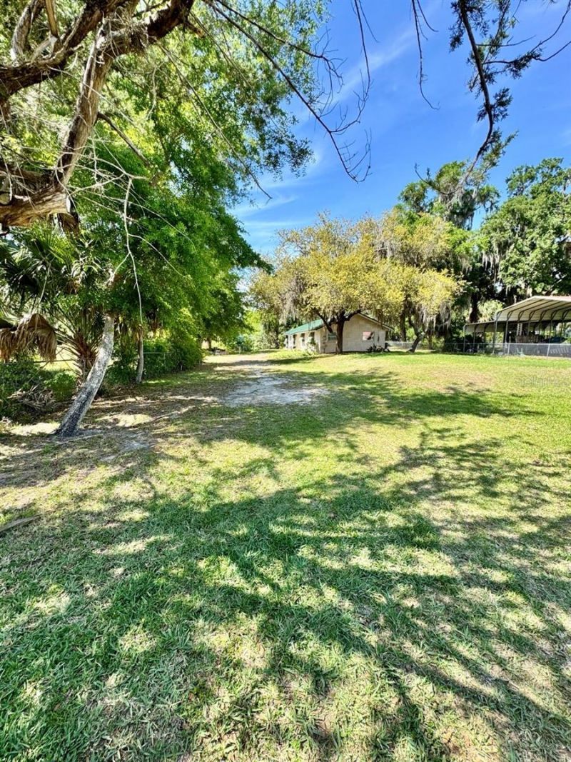 30391 NE 97th Place , Salt Springs, FL 32134 Photo