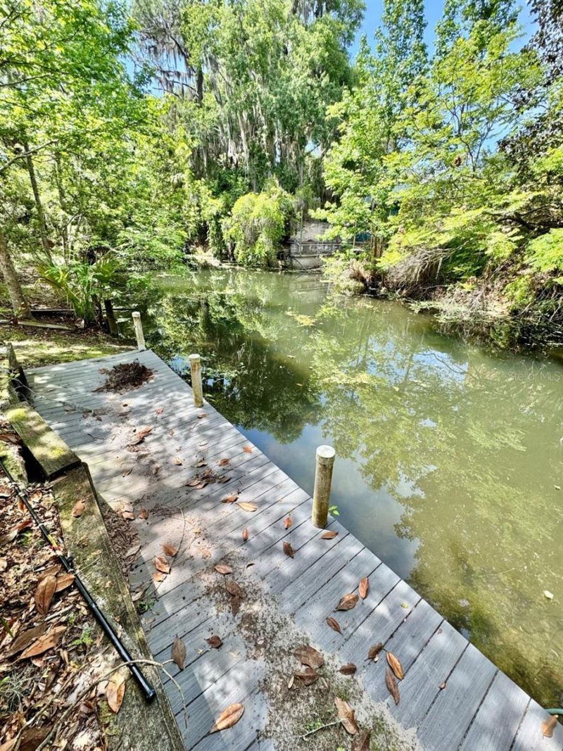 30391 NE 97th Place , Salt Springs, FL 32134 Photo