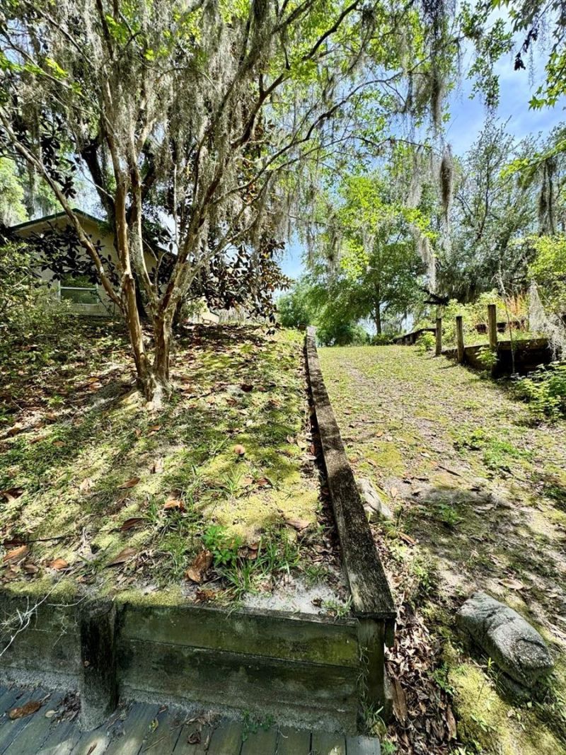 30391 NE 97th Place , Salt Springs, FL 32134 Photo