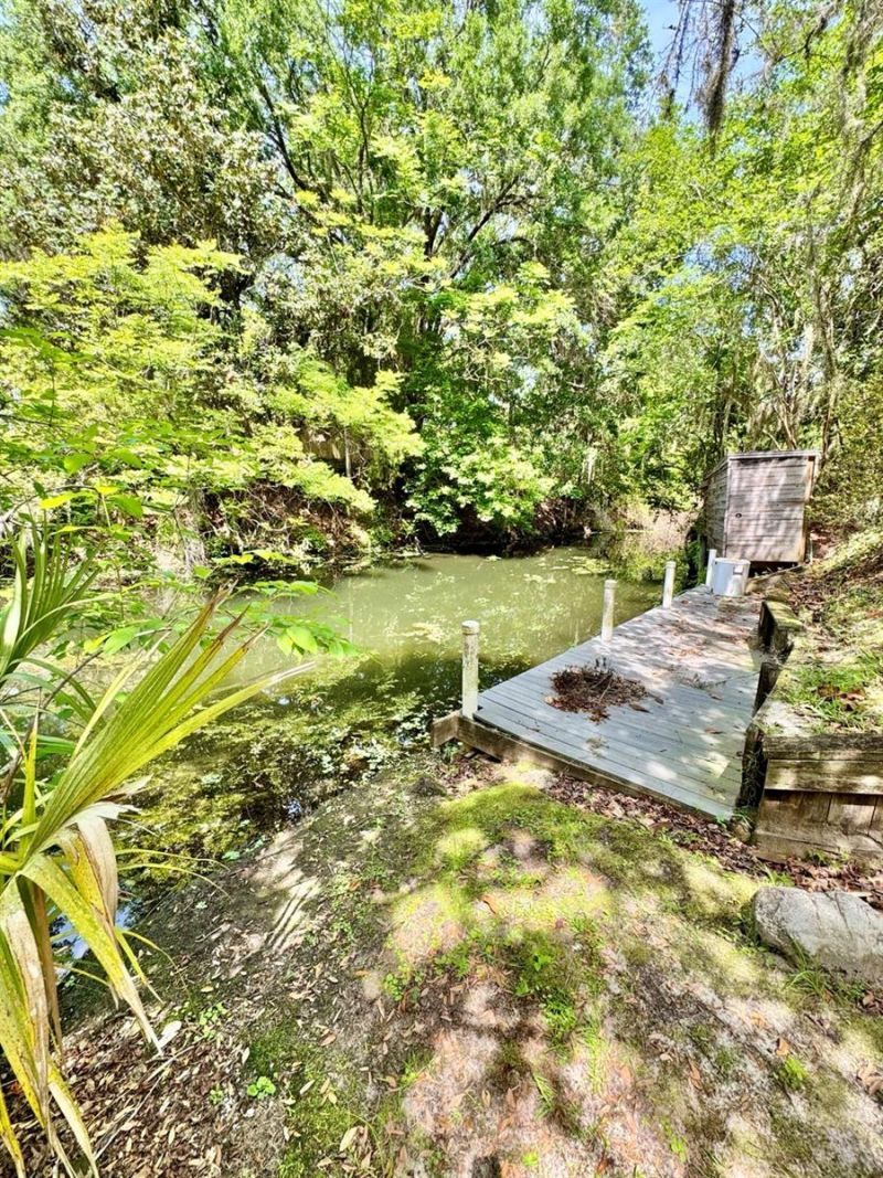 30391 NE 97th Place , Salt Springs, FL 32134 Photo