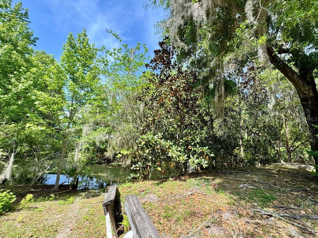 30391 NE 97th Place , Salt Springs, FL 32134 Photo