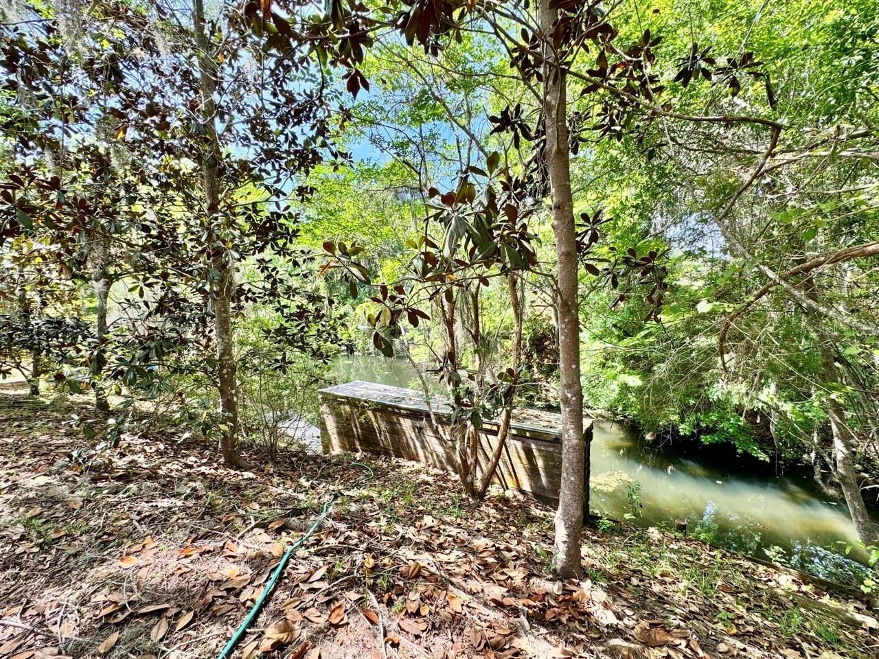 30391 NE 97th Place , Salt Springs, FL 32134 Photo