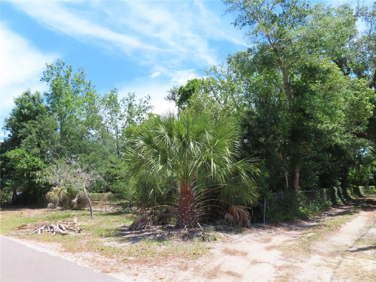 Mayo, Crystal Beach, FL 34681 Photo