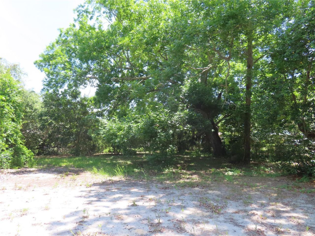 Mayo, Crystal Beach, FL 34681 Photo