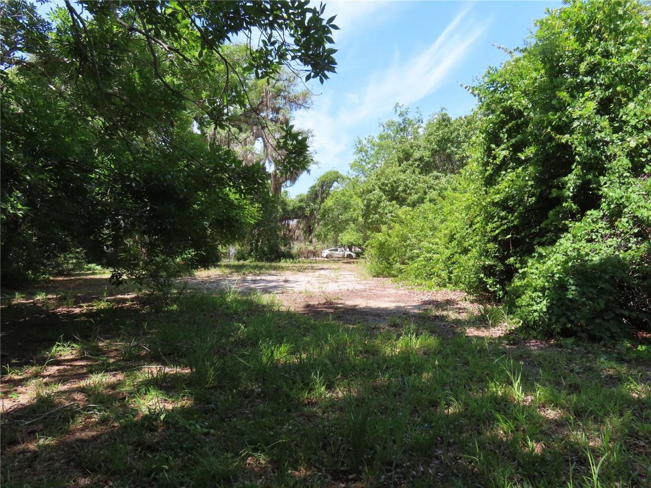 Mayo, Crystal Beach, FL 34681 Photo