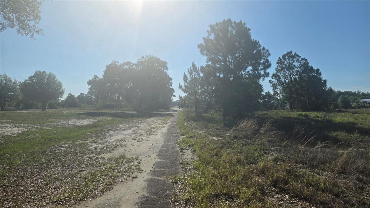 2643 W Bandra Road, Avon Park, FL 33825 Photo
