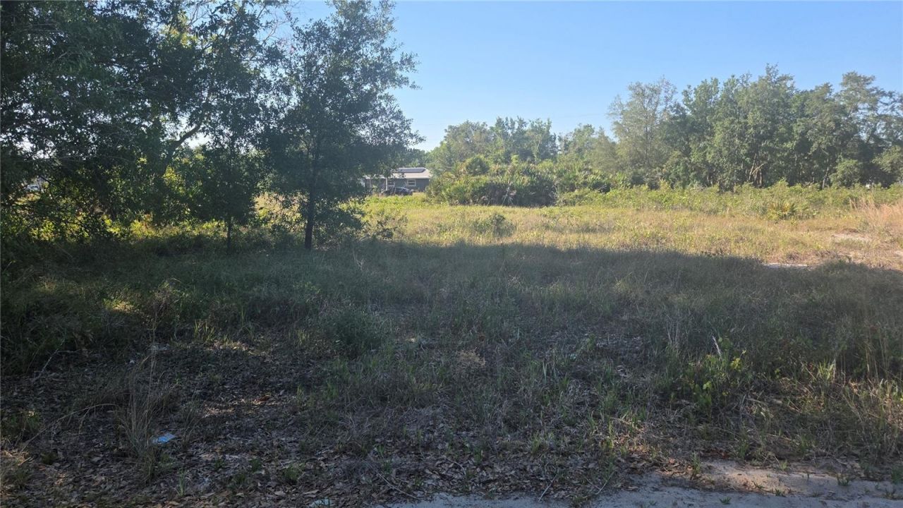 2643 W Bandra Road, Avon Park, FL 33825 Photo
