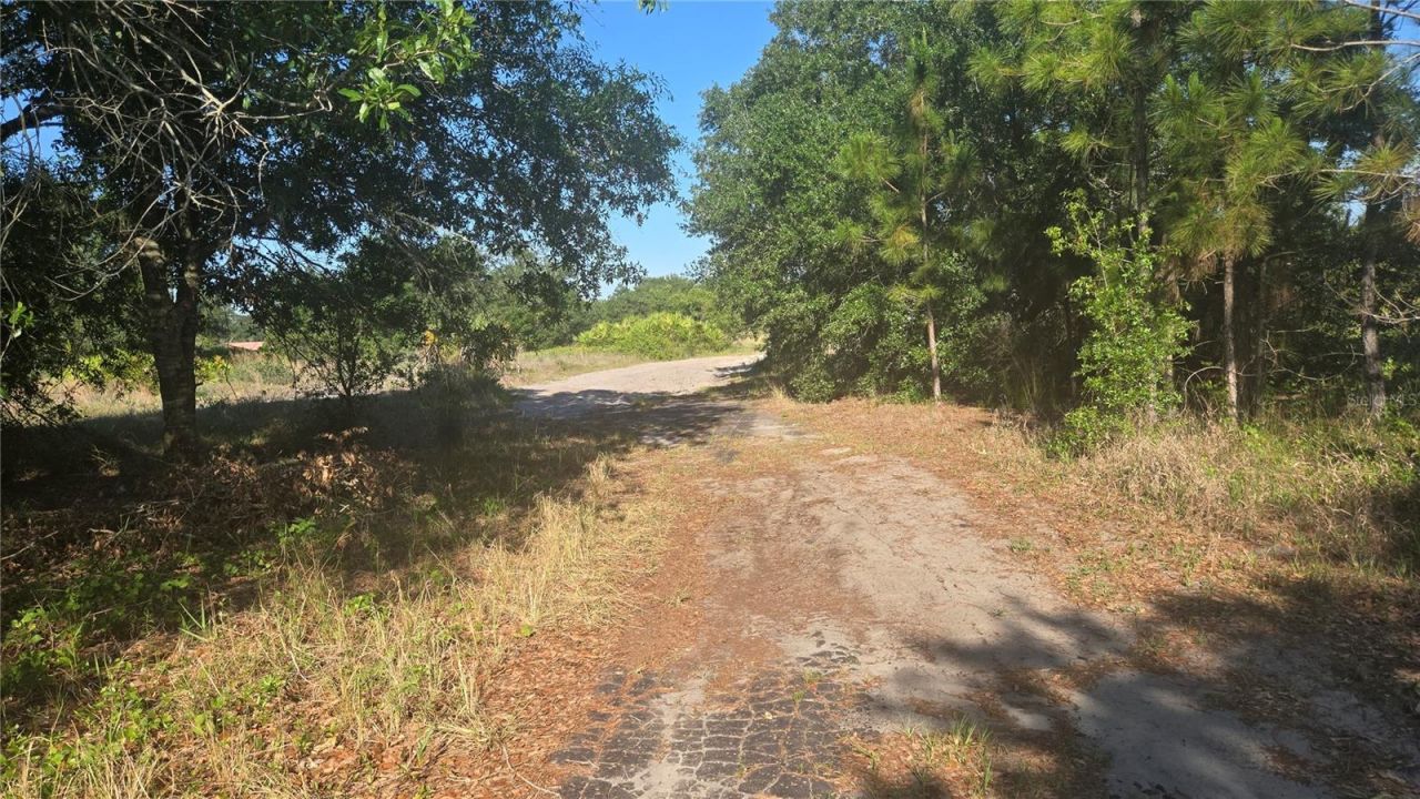 2643 W Bandra Road, Avon Park, FL 33825 Photo