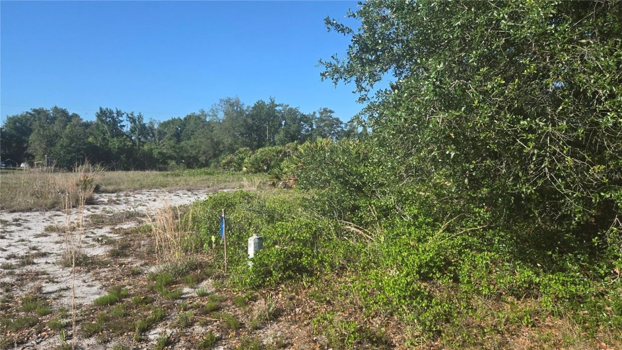 2643 W Bandra Road, Avon Park, FL 33825 Photo