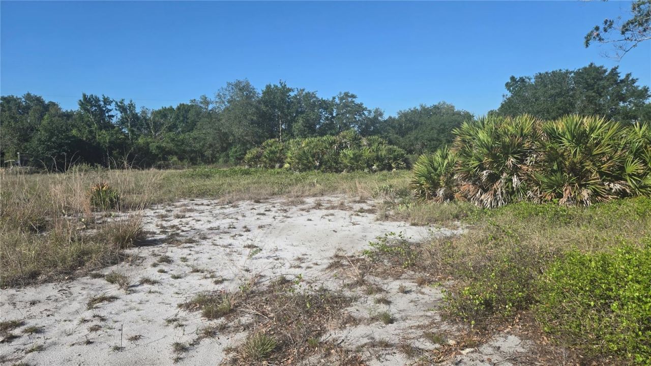 2643 W Bandra Road, Avon Park, FL 33825 Photo