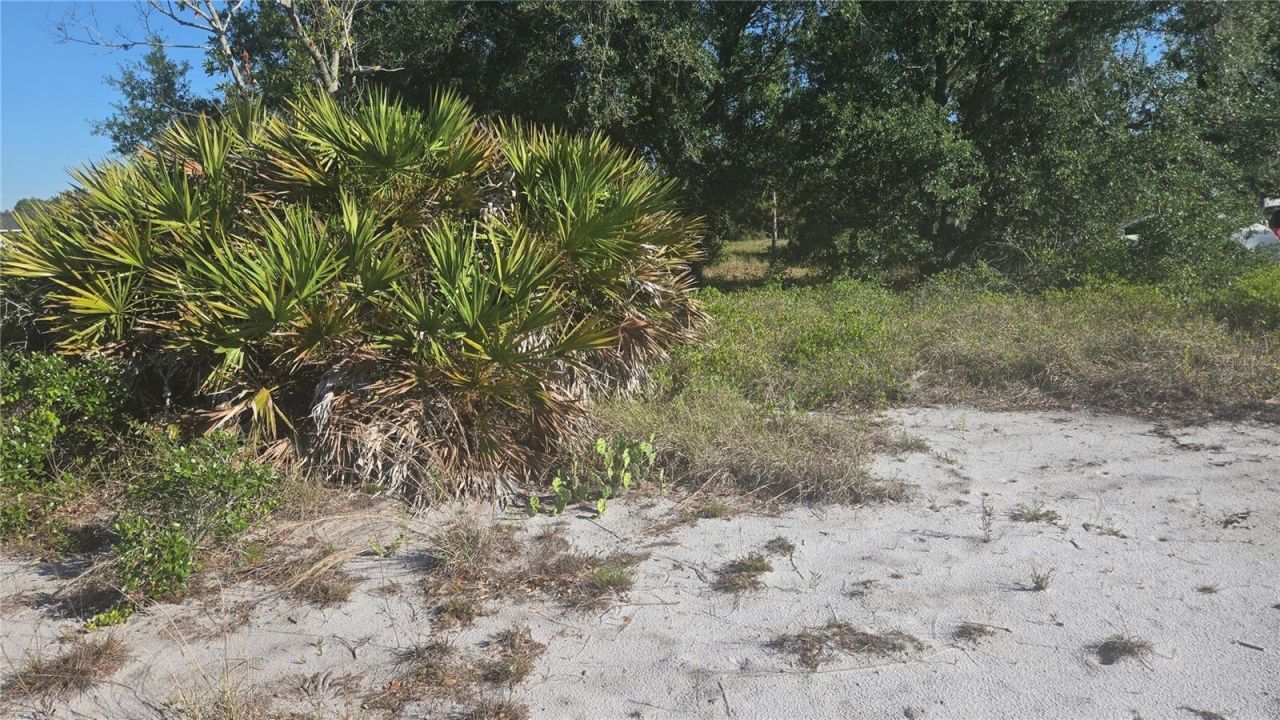 2643 W Bandra Road, Avon Park, FL 33825 Photo