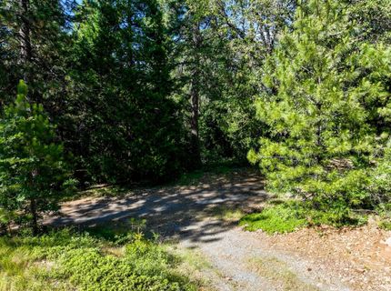 30220 Magra Rd, Gold Run, CA 95717 Photo