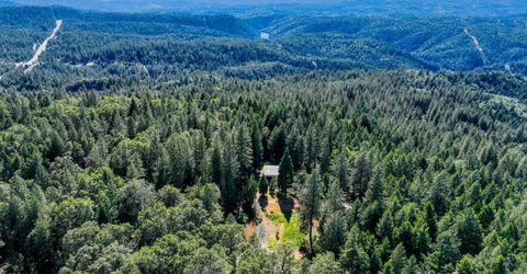 30220 Magra Rd, Gold Run, CA 95717 Photo
