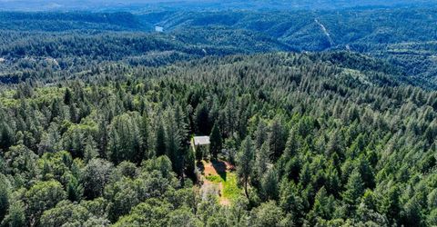 30220 Magra Rd, Gold Run, CA 95717 Photo