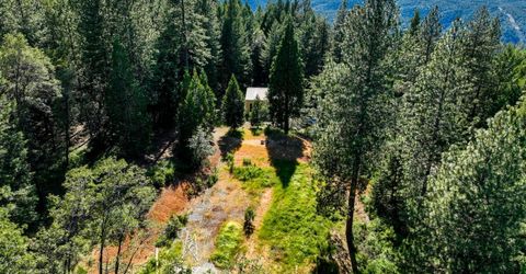 30220 Magra Rd, Gold Run, CA 95717 Photo