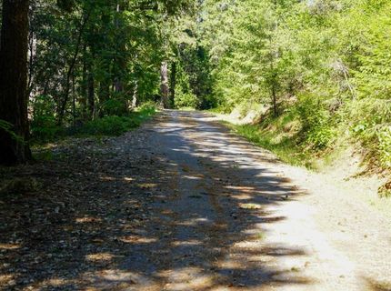 30220 Magra Rd, Gold Run, CA 95717 Photo