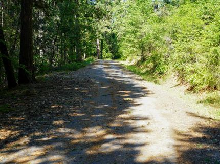 30220 Magra Rd, Gold Run, CA 95717 Photo