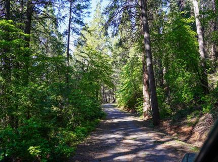 30220 Magra Rd, Gold Run, CA 95717 Photo