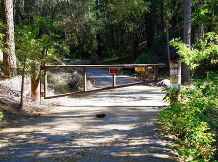 30220 Magra Rd, Gold Run, CA 95717 Photo