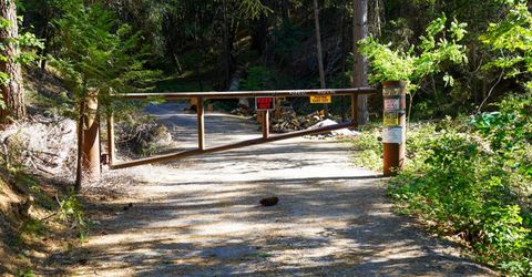30220 Magra Rd, Gold Run, CA 95717 Photo