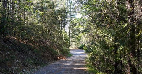 30220 Magra Rd, Gold Run, CA 95717 Photo
