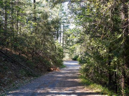 30220 Magra Rd, Gold Run, CA 95717 Photo